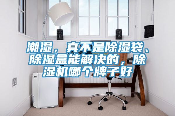 潮濕，真不是除濕袋、除濕盒能解決的，除濕機(jī)哪個(gè)牌子好