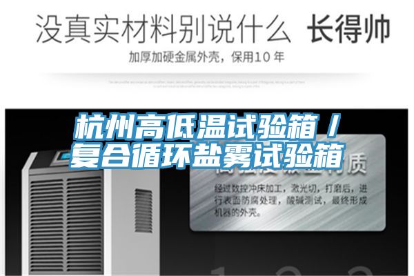杭州高低溫試驗(yàn)箱/復(fù)合循環(huán)鹽霧試驗(yàn)箱