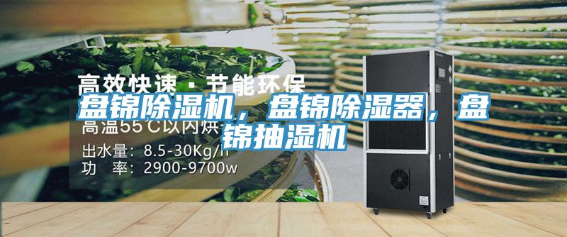 盤錦除濕機(jī),盤錦除濕器,盤錦抽濕機(jī)