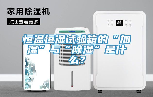 恒溫恒濕試驗箱的“加濕”與“除濕”是什么?