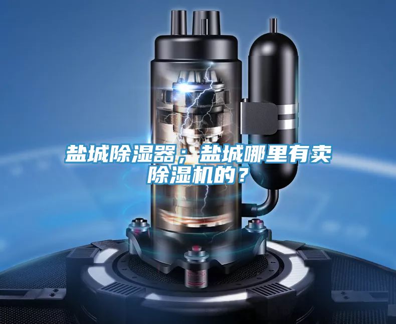 鹽城除濕器;鹽城哪里有賣除濕機(jī)的?