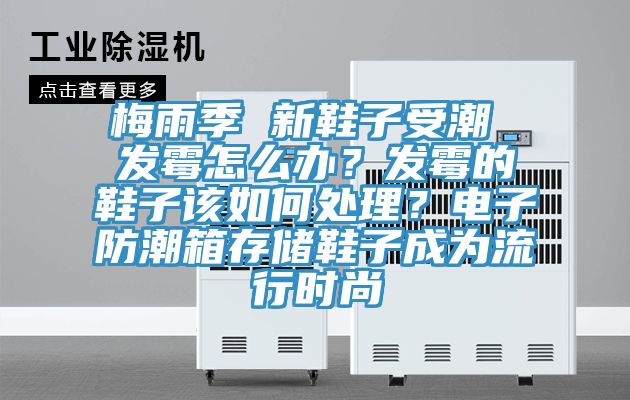 梅雨季 新鞋子受潮 發(fā)霉怎么辦?發(fā)霉的鞋子該如何處理?電子防潮箱存儲鞋子成為流行時尚
