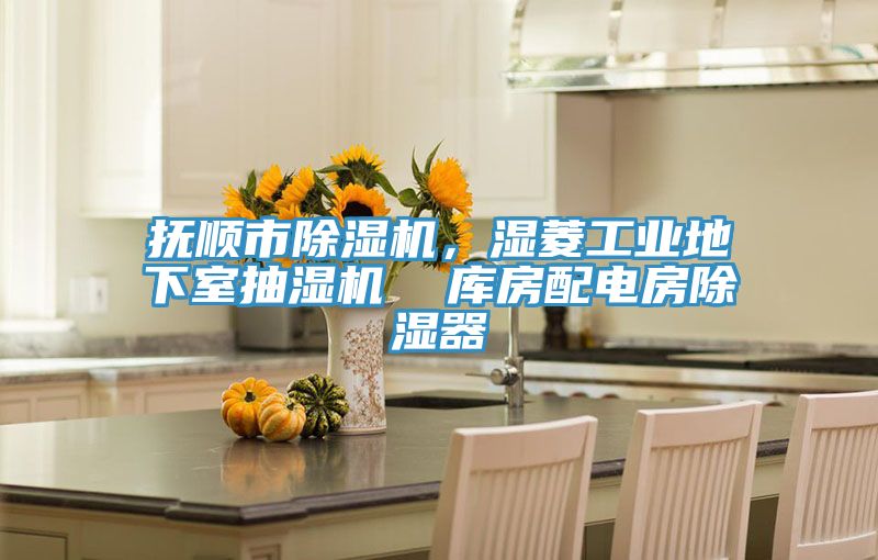撫順市除濕機,濕菱工業地下室抽濕機 庫房配電房除濕器