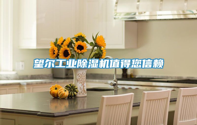 望爾工業(yè)除濕機(jī)值得您信賴(lài)
