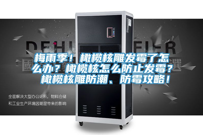 梅雨季!橄欖核雕發霉了怎么辦?橄欖核怎么防止發霉? 橄欖核雕防潮、防霉攻略!