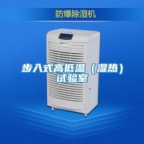 步入式高低溫(濕熱)試驗室