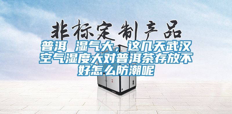 普洱 濕氣大,這幾天武漢空氣濕度大對普洱茶存放不好怎么防潮呢