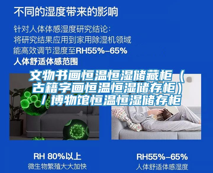 文物書畫恒溫恒濕儲(chǔ)藏柜(古籍字畫恒溫恒濕儲(chǔ)存柜)/博物館恒溫恒濕儲(chǔ)存柜