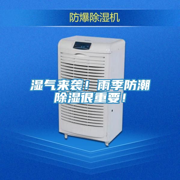 濕氣來襲!雨季防潮除濕很重要!