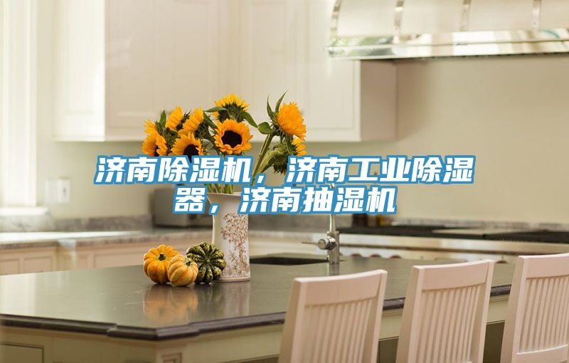 濟南除濕機,濟南工業除濕器,濟南抽濕機
