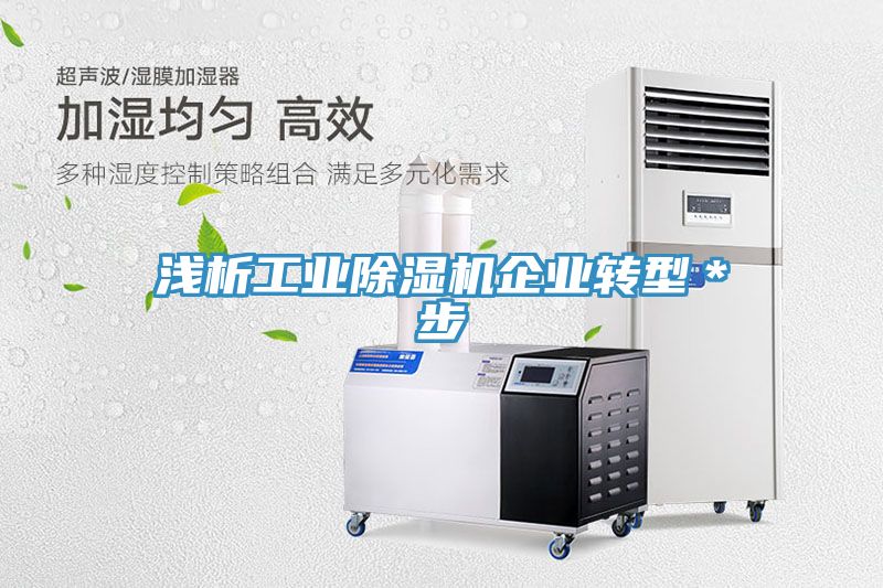 淺析工業除濕機企業轉型*步