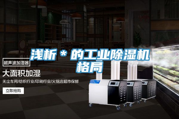 淺析*的工業除濕機格局