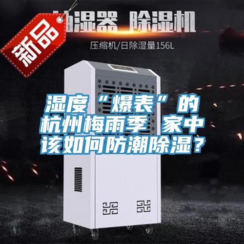 濕度“爆表”的杭州梅雨季 家中該如何防潮除濕?