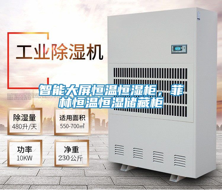 智能大屏恒溫恒濕柜,菲林恒溫恒濕儲藏柜