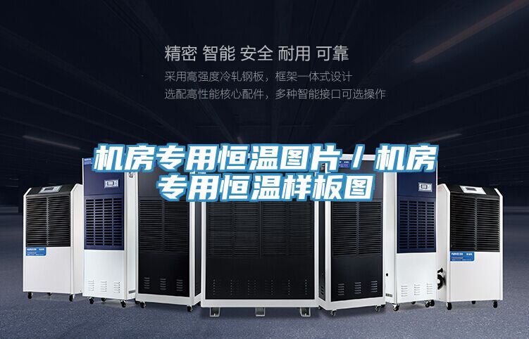 機房專用恒溫圖片/機房專用恒溫樣板圖