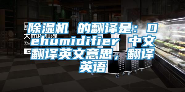 除濕機 的翻譯是:Dehumidifier 中文翻譯英文意思,翻譯英語