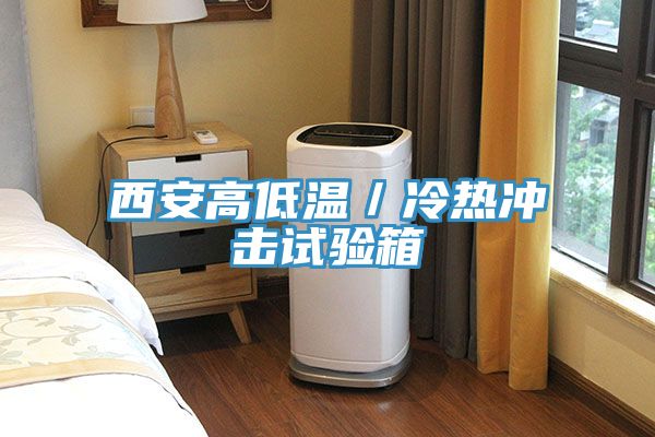 西安高低溫/冷熱沖擊試驗箱