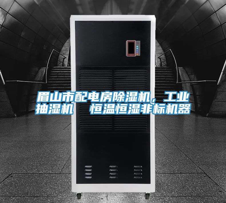 眉山市配電房除濕機，工業抽濕機  恒溫恒濕非標機器