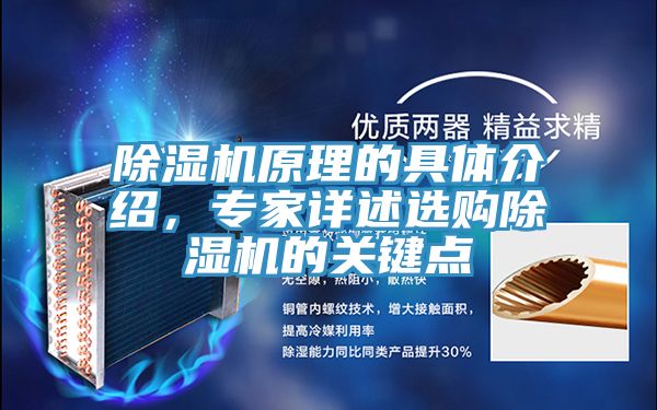 除濕機原理的具體介紹，專家詳述選購除濕機的關鍵點