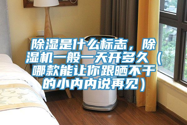除濕是什么標志,除濕機一般一天開多久(哪款能讓你跟曬不干的小內內說再見)
