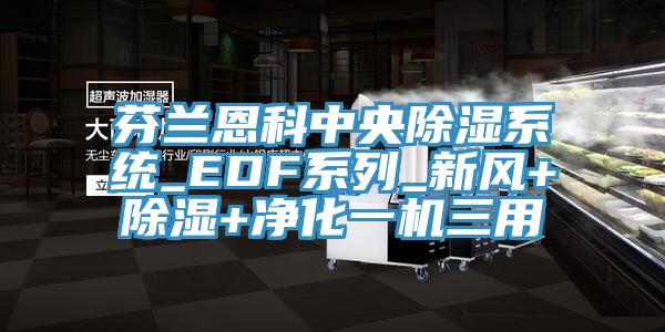 芬蘭恩科中央除濕系統_EDF系列_新風+除濕+凈化一機三用