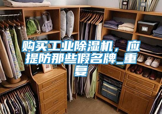 購買工業除濕機,應提防那些假名牌_重復