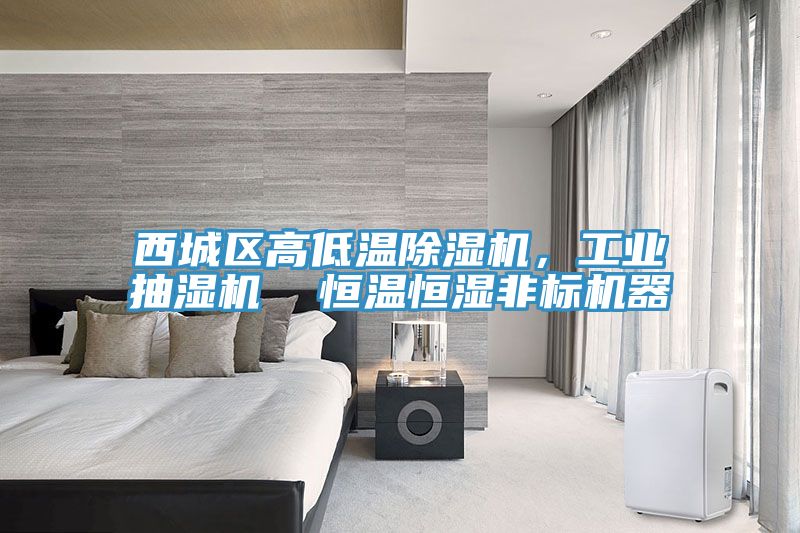 西城區(qū)高低溫除濕機(jī),工業(yè)抽濕機(jī) 恒溫恒濕非標(biāo)機(jī)器