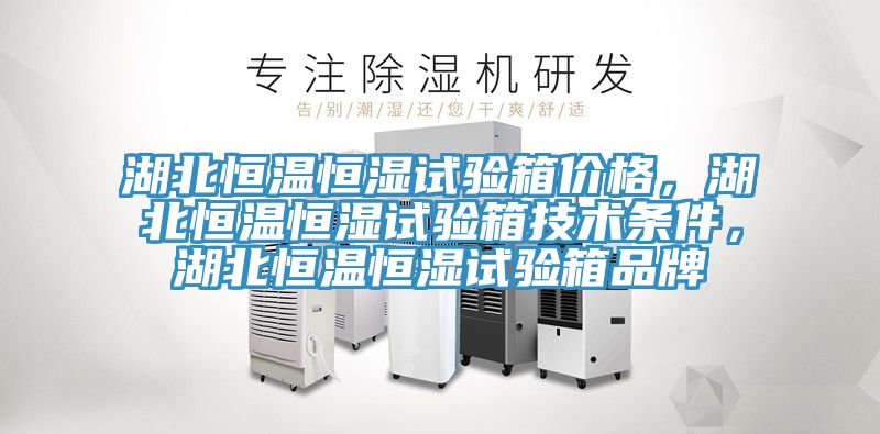 湖北恒溫恒濕試驗箱價格,湖北恒溫恒濕試驗箱技術條件,湖北恒溫恒濕試驗箱品牌
