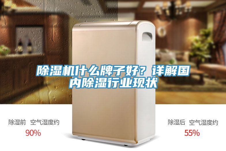 除濕機什么牌子好?詳解國內除濕行業現狀