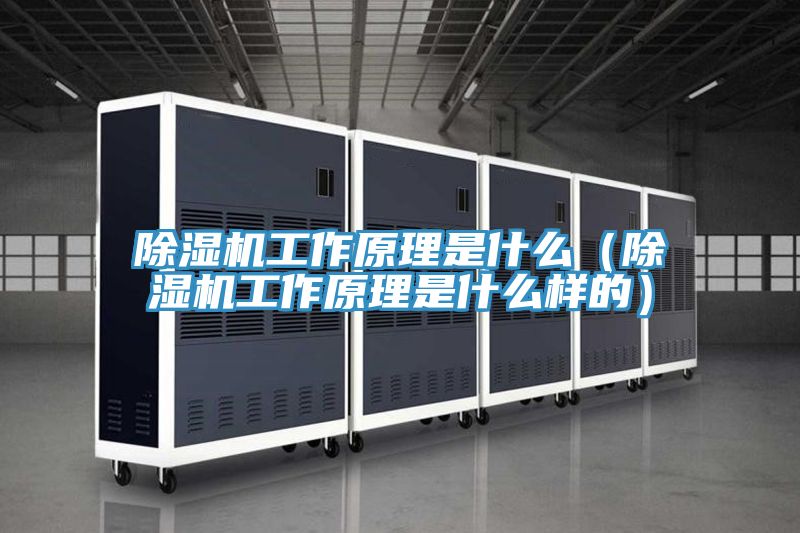 除濕機工作原理是什么(除濕機工作原理是什么樣的)