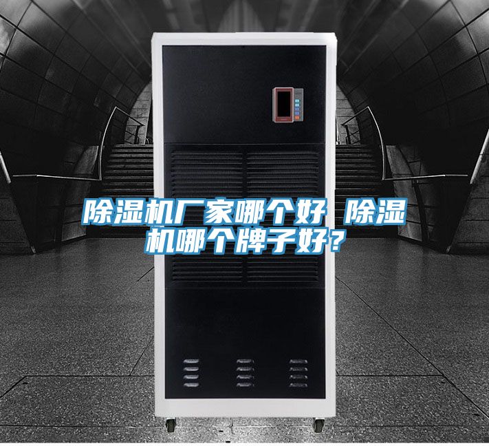 除濕機(jī)廠(chǎng)家哪個(gè)好 除濕機(jī)哪個(gè)牌子好?