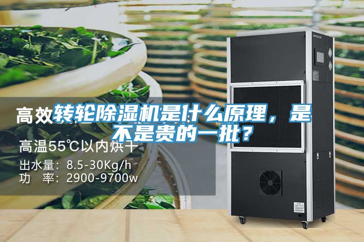 轉輪除濕機是什么原理,是不是貴的一批?