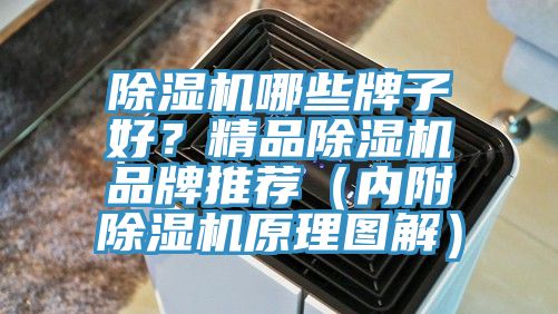除濕機哪些牌子好?精品除濕機品牌推薦(內附除濕機原理圖解)