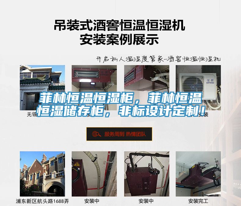 菲林恒溫恒濕柜,菲林恒溫恒濕儲存柜,非標設計定制!