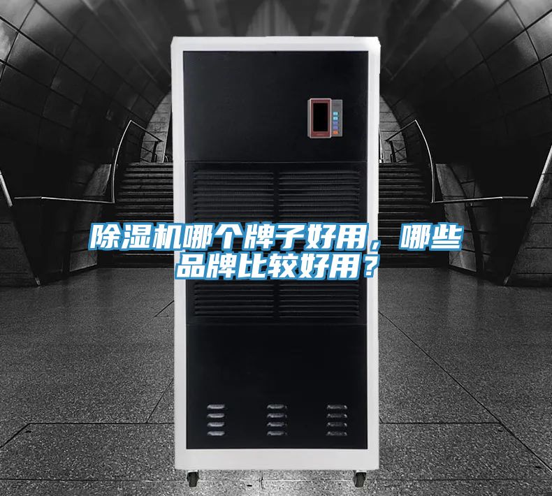 除濕機哪個牌子好用,哪些品牌比較好用?