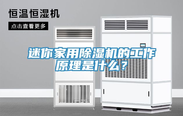 迷你家用除濕機的工作原理是什么？