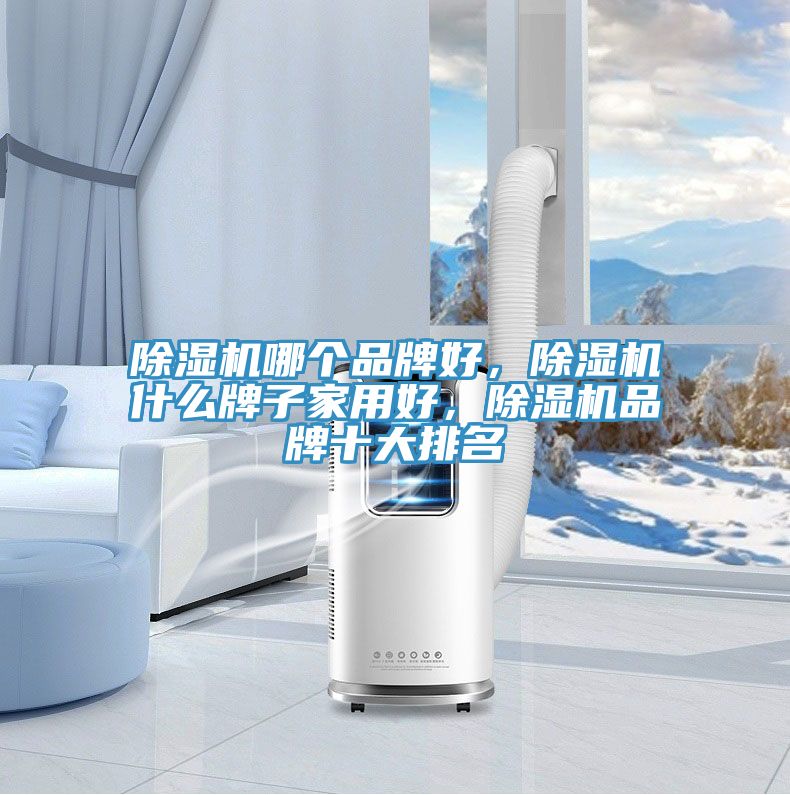 除濕機哪個品牌好,除濕機什么牌子家用好,除濕機品牌十大排名