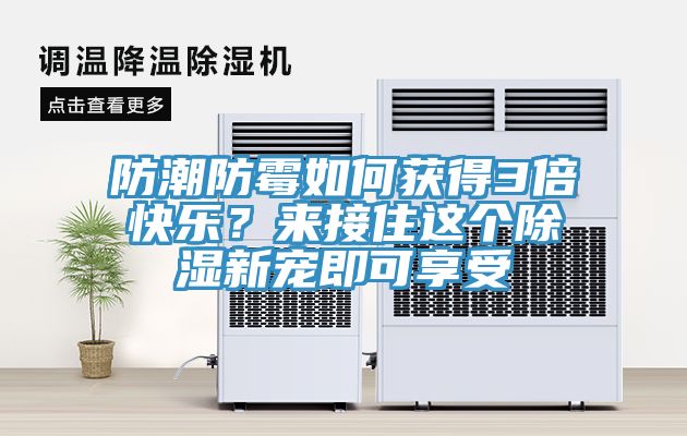 防潮防霉如何獲得3倍快樂？來接住這個除濕新寵即可享受