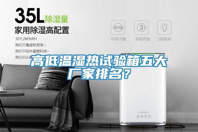 高低溫濕熱試驗箱五大廠家排名?
