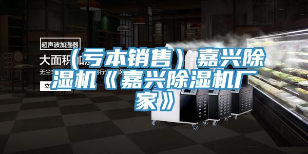 (虧本銷售)嘉興除濕機《嘉興除濕機廠家》