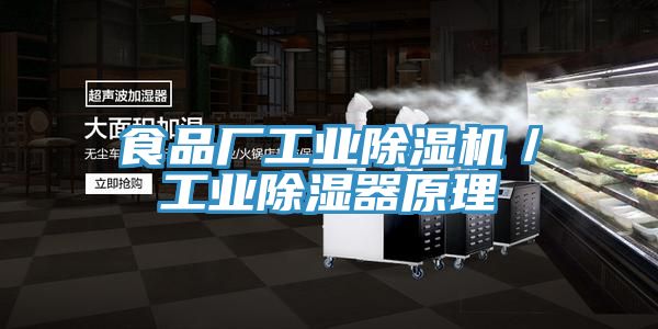 食品廠工業除濕機/工業除濕器原理