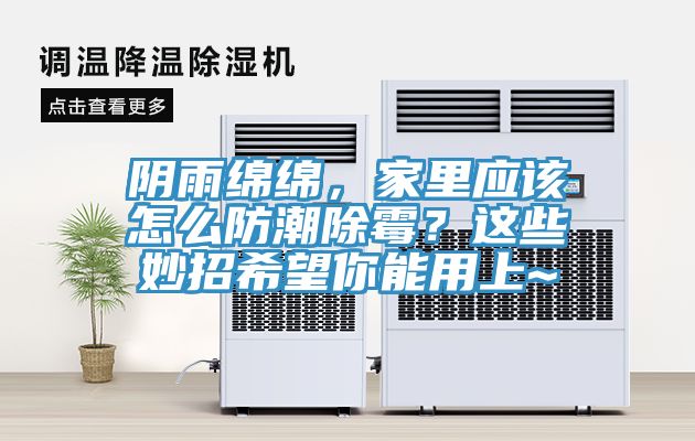 陰雨綿綿,家里應(yīng)該怎么防潮除霉?這些妙招希望你能用上~