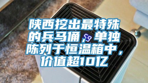 陜西挖出最特殊的兵馬俑,單獨陳列于恒溫箱中,價值超10億