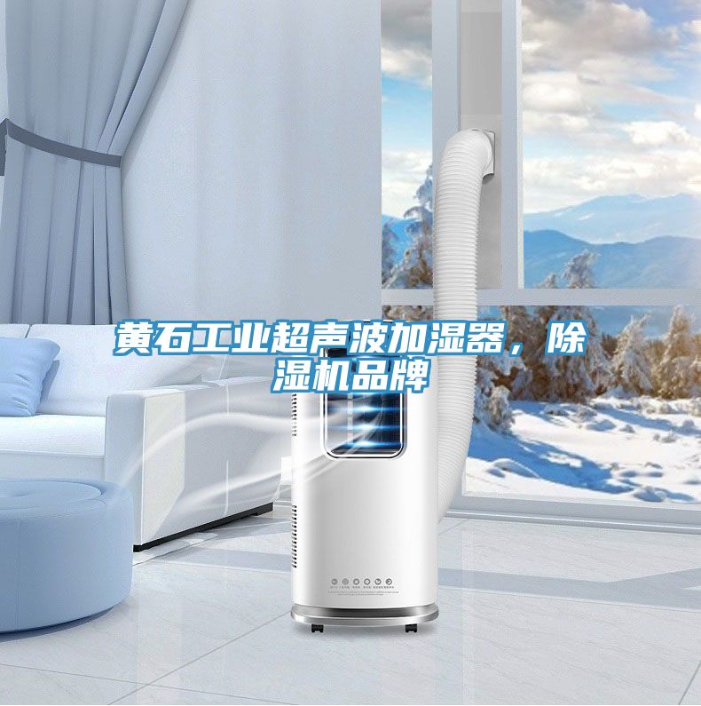 黃石工業(yè)超聲波加濕器，除濕機(jī)品牌