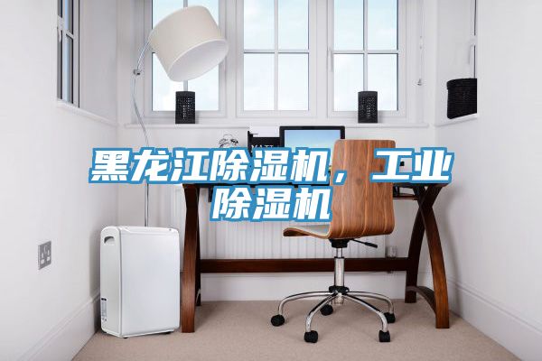 黑龍江除濕機(jī)，工業(yè)除濕機(jī)
